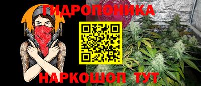 spice Кунгур