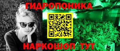 spice Кунгур