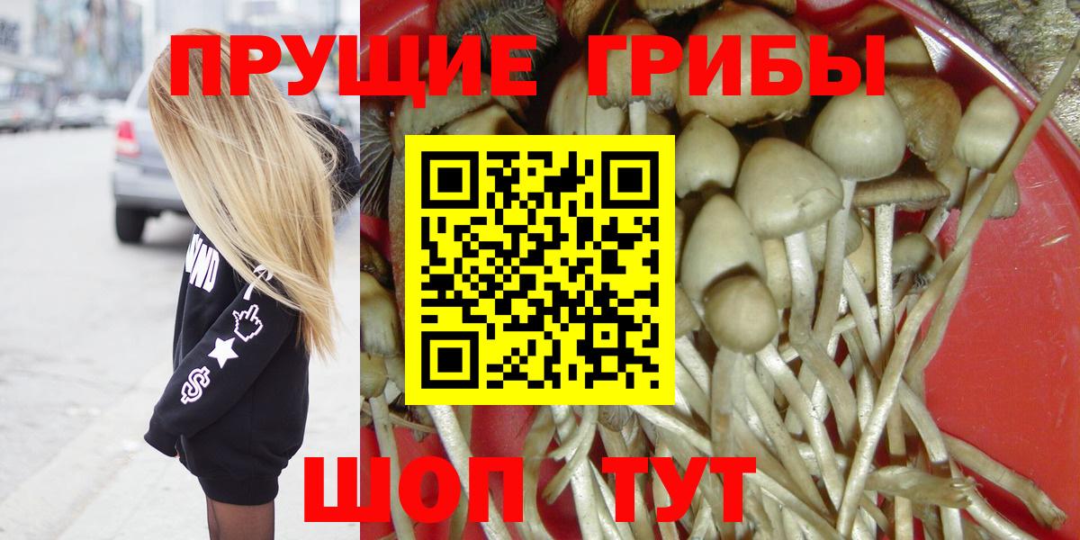 Псилоцибиновые грибы прущие грибы Егорьевск