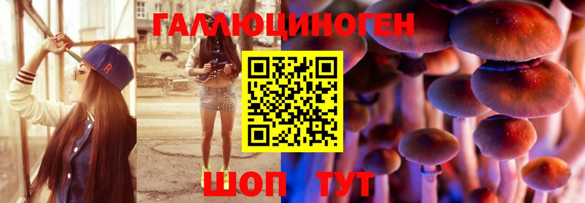 Егорьевск  Галлюциногенные грибы ЛСД  Вход с VPN 